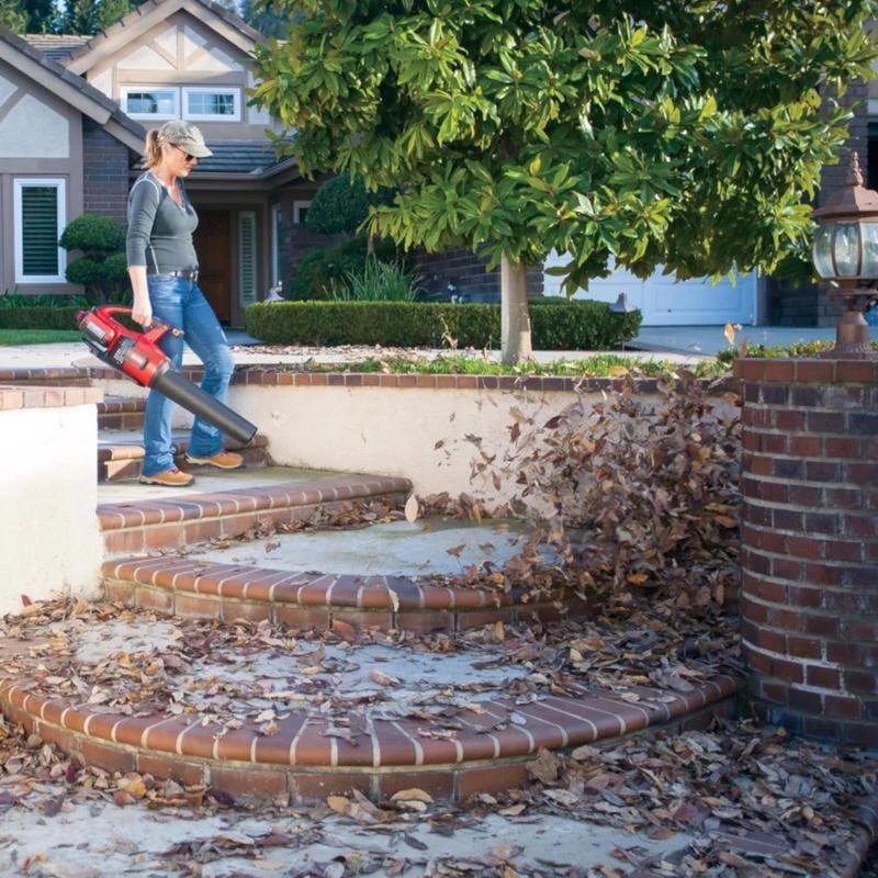 Coupon ✔️ Toro 51821 110 mph 565 CFM 60 V Battery Handheld Leaf Blower Kit (Battery & Charger) 😀 - Image 9